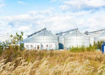 Capacidade de armazenagem agrícola no Brasil chega a 231 milhões de toneladas em 2025 4 Capacidade de armazenagem agrícola no Brasil chega a 231 milhões de toneladas em 2025