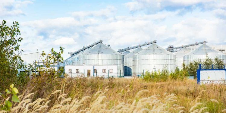 Capacidade de armazenagem agrícola no Brasil chega a 231 milhões de toneladas em 2025