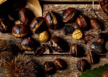 Castanhas, café e carnes tratam de barreiras tarifárias e expansão de mercados brasileiros