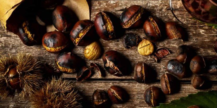 Castanhas, café e carnes tratam de barreiras tarifárias e expansão de mercados brasileiros 1 Castanhas, café e carnes tratam de barreiras tarifárias e expansão de mercados brasileiros