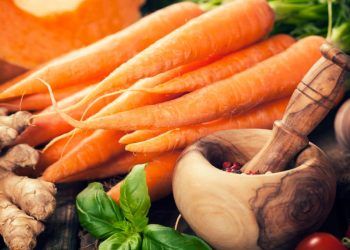 Cenoura recua no início de novembro e Ceasas registram variações nas demais hortaliças