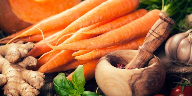 Cenoura recua no início de novembro e Ceasas registram variações nas demais hortaliças