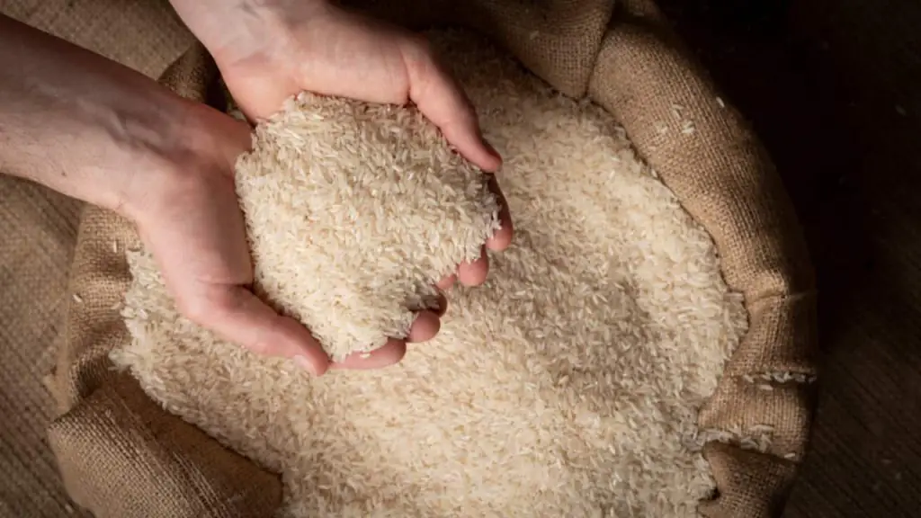 Conab abre compra pública de arroz para sustentar preços no mercado