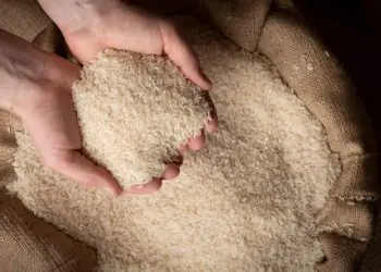 Conab abre compra pública de arroz para sustentar preços no mercado