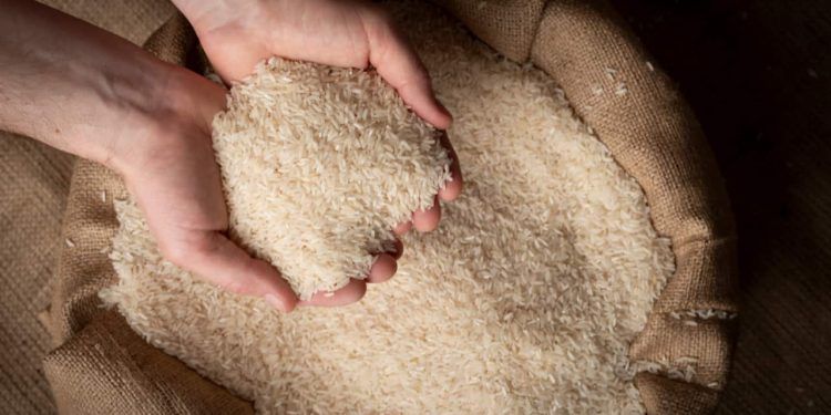 Conab abre compra pública de arroz para sustentar preços no mercado 1 Conab abre compra pública de arroz para sustentar preços no mercado