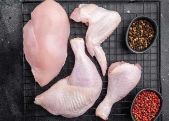 Custos de produção de suínos sobem em SC enquanto frango fica mais barato no PR