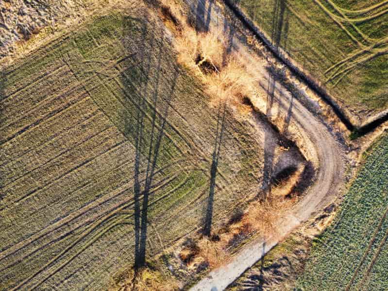 Demarcação de terras