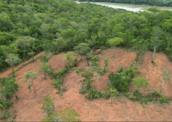 Desmatamento em Goias atinge menor nivel da historia aponta Inpe