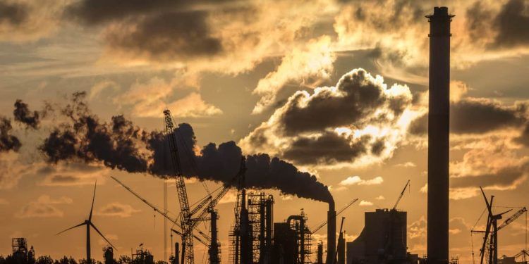 Emissões de gases do Brasil caem 16,7% com redução do desmatamento em 2024 1 Emissões de gases do Brasil caem 16,7% com redução do desmatamento em 2024