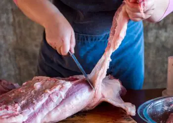 Exportações brasileiras de carne suína rendem US$ 343,6 milhões em outubro 6 Exportações brasileiras de carne suína rendem US$ 343,6 milhões em outubro