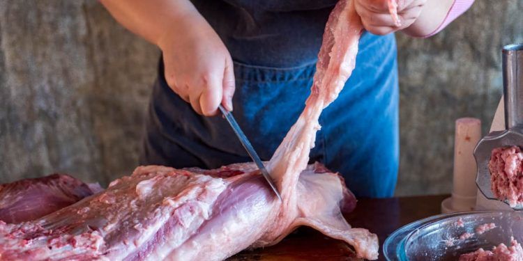 Exportações brasileiras de carne suína rendem US$ 343,6 milhões em outubro