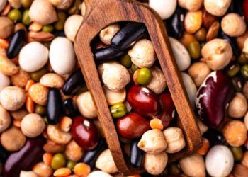 Exportacoes brasileiras de feijao somam 537 mil toneladas e batem recorde historico