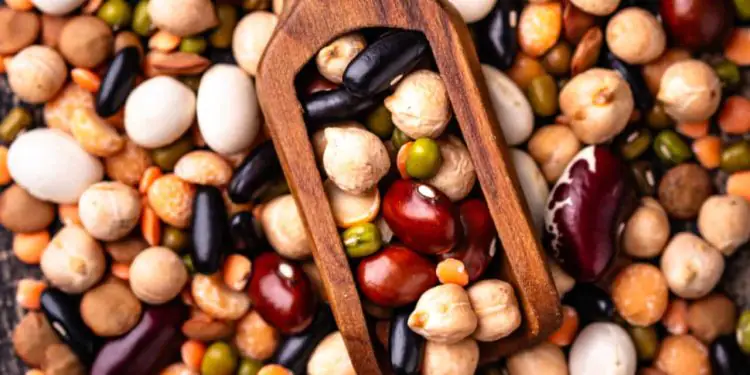 Exportações brasileiras de feijão somam 537 mil toneladas e batem recorde histórico 1 Exportações brasileiras de feijão somam 537 mil toneladas e batem recorde histórico