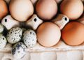 Exportações brasileiras de ovos crescem mais de 150% no acumulado de 2025
