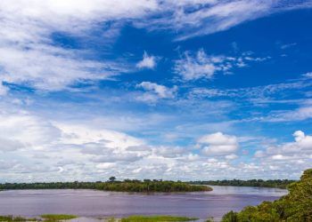 Metade da Amazônia Legal está em áreas protegidas, aponta IBGE 6 Metade da Amazônia Legal está em áreas protegidas, aponta IBGE