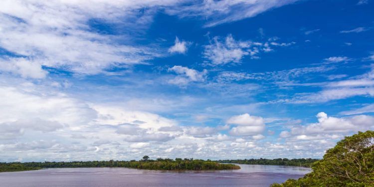 Metade da Amazônia Legal está em áreas protegidas, aponta IBGE