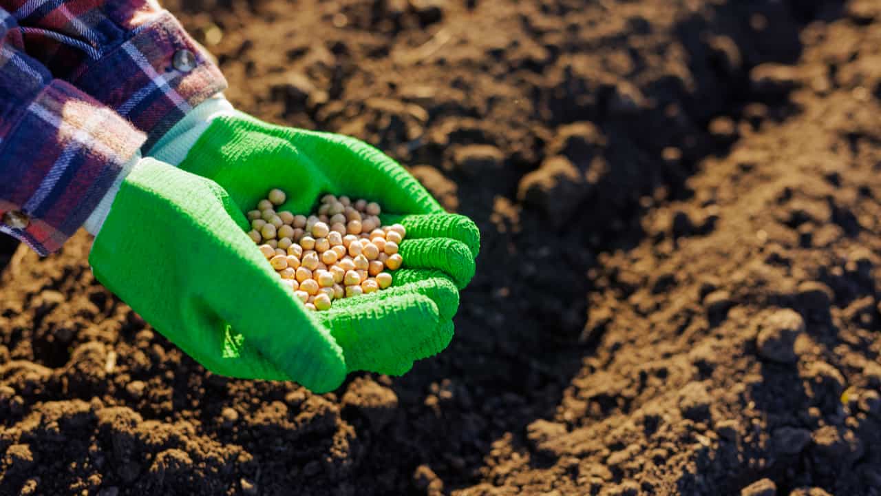 Movimentação de adubos e fertilizantes cresce 98% nos portos do Arco Norte, aponta Conab
