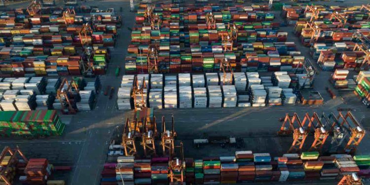 Novas autorizações impulsionam exportações do agronegócio brasileiro