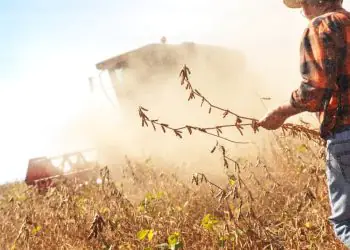 Perspectivas da safra 25/26 destacam expansão da soja e do milho, aponta CNA 9 Perspectivas da safra 25/26 destacam expansão da soja e do milho, aponta CNA