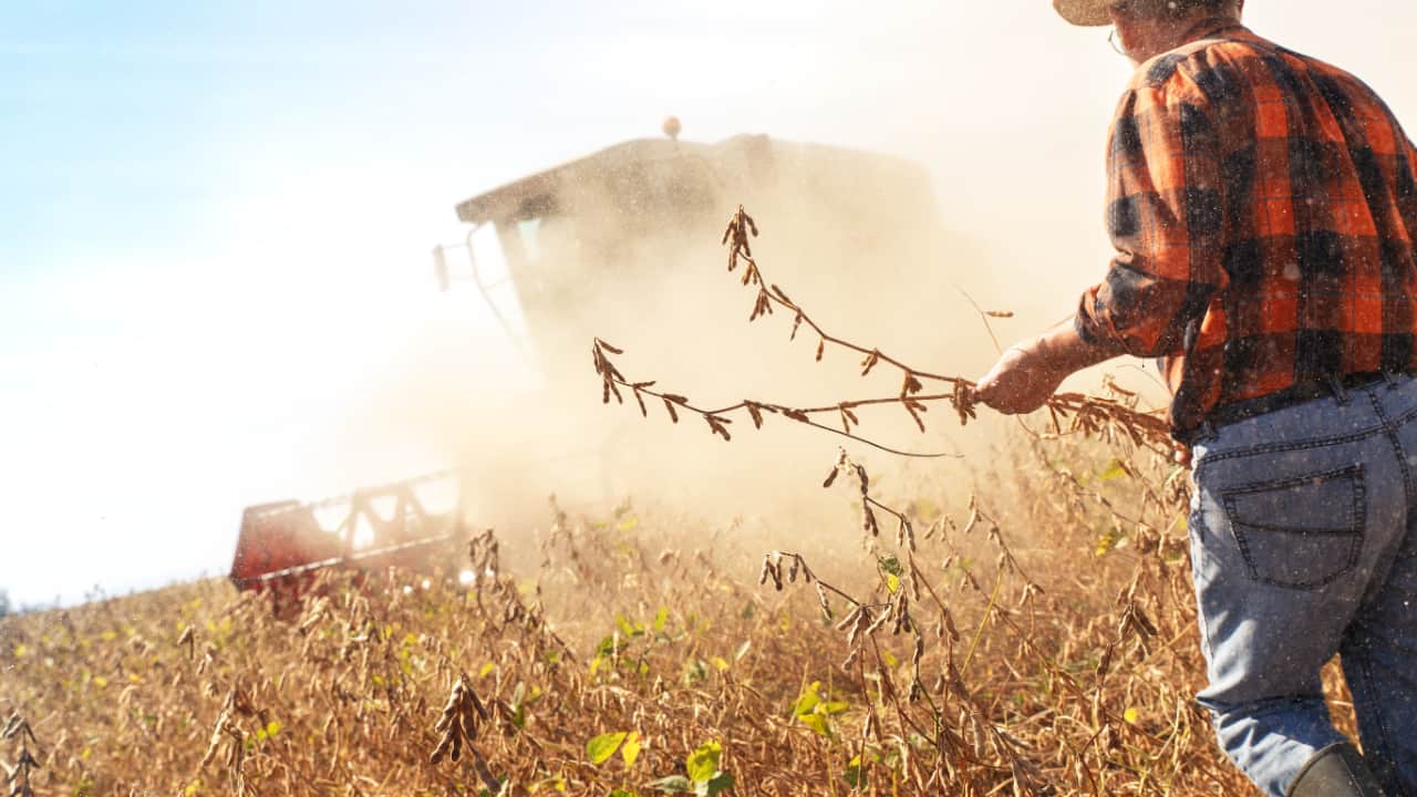 Perspectivas da safra 25/26 destacam expansão da soja e do milho, aponta CNA