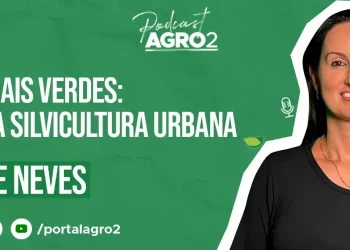 Podcast com Francine Neves