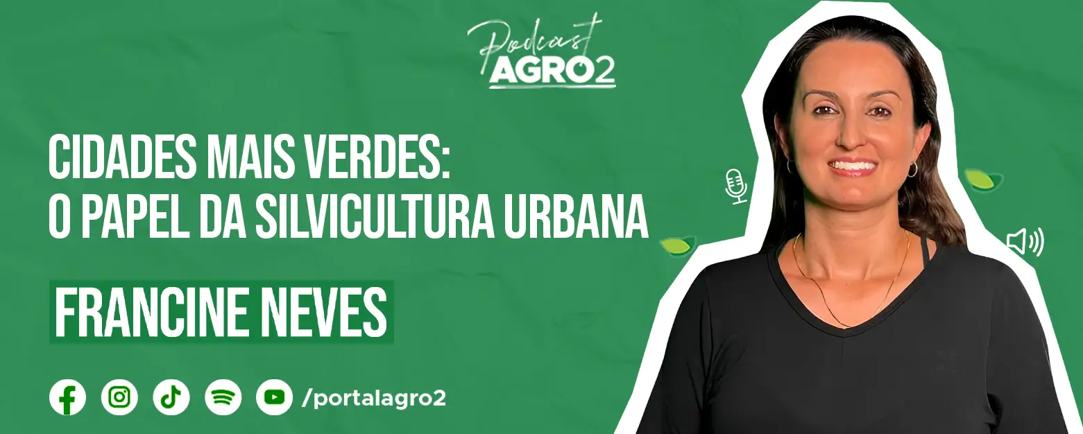 Podcast com Francine Neves