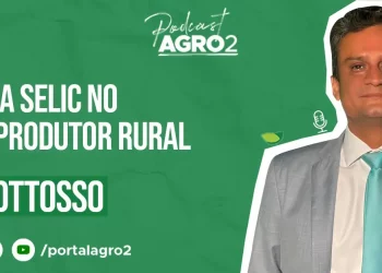 Podcast com Lando Bottosso 1