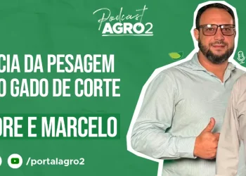 Podcast com Marcelo Penha e Alexandre dos Reis