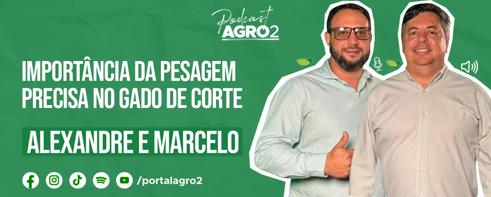 Podcast com Marcelo Penha e Alexandre dos Reis
