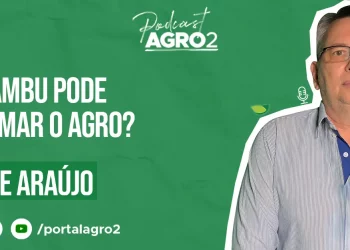 Podcast com Rogerio de Araujo