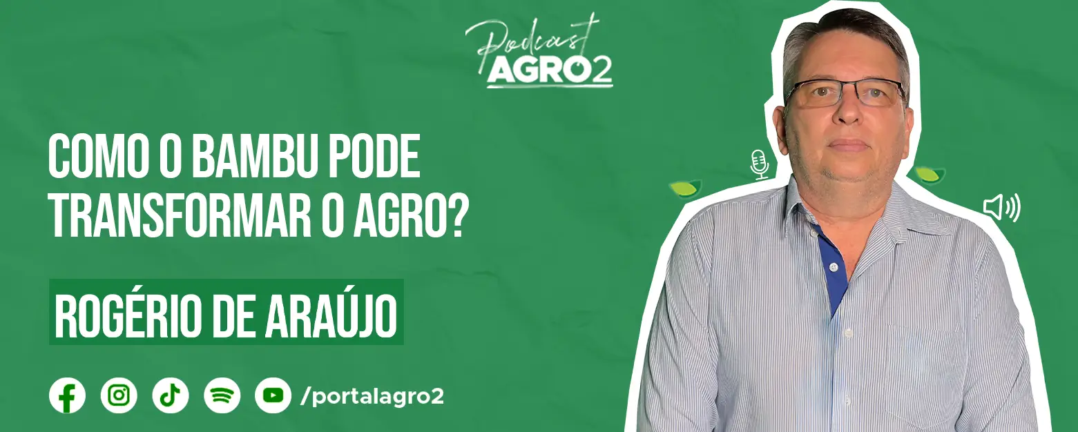 Podcast com Rogerio de Araujo