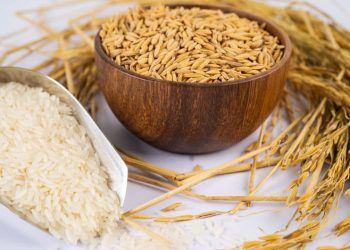 Preço do arroz em casca recua no RS enquanto safra se aproxima do fim do plantio