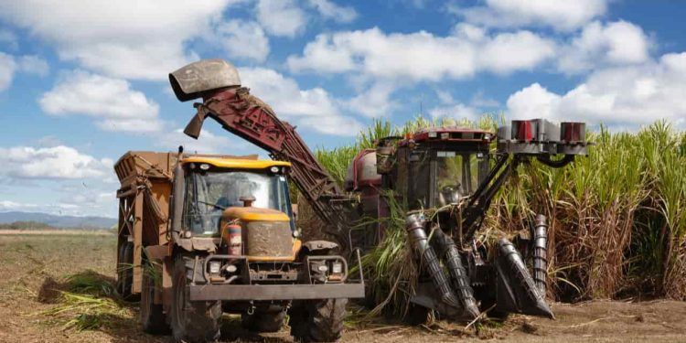 Produção da cana-de-açúcar registra aumento de despesas e diferenças entre regiões 1 Produção da cana-de-açúcar registra aumento de despesas e diferenças entre regiões