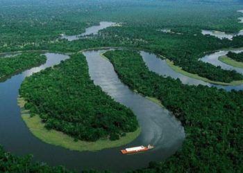 Restauração de vegetação nativa avança para 3,4 milhões de hectares no Brasil