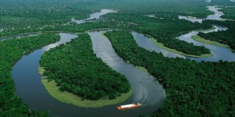 Restauração de vegetação nativa avança para 3,4 milhões de hectares no Brasil 1 Restauração de vegetação nativa avança para 3,4 milhões de hectares no Brasil