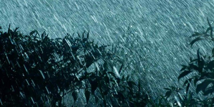 Semana tem variação de chuva e umidade em diferentes regiões do Brasil