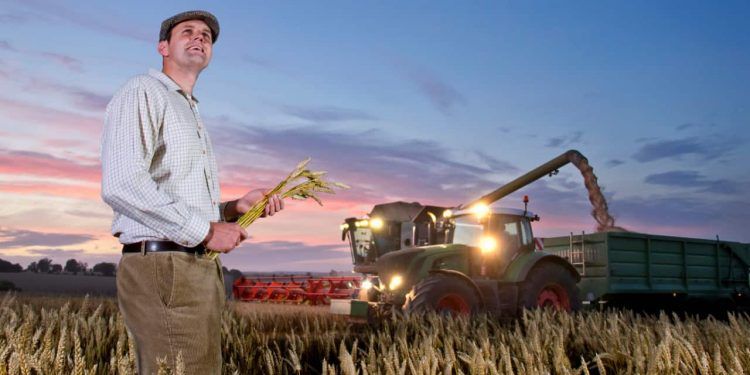 Setor agropecuário impulsiona avanço do PIB brasileiro em 2023, aponta IBGE 1 Setor agropecuário impulsiona avanço do PIB brasileiro em 2023