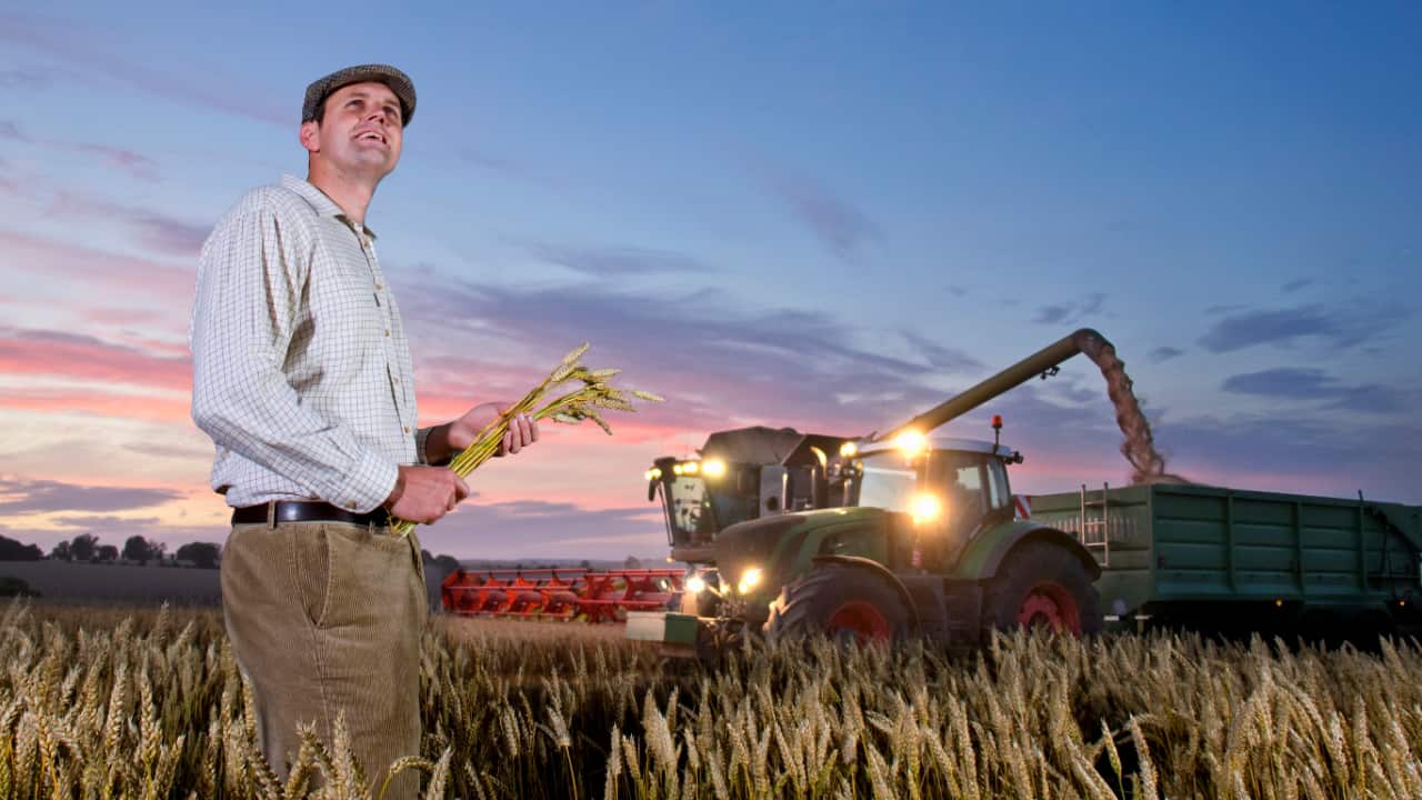 Setor agropecuário impulsiona avanço do PIB brasileiro em 2023, aponta IBGE