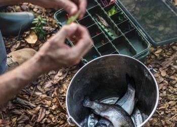 Sistemas Alimentares Aquáticos ganham destaque nas discussões climáticas globais 6 Sistemas Alimentares Aquáticos ganham destaque nas discussões climáticas globais