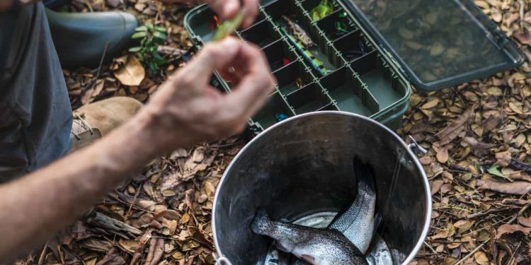 Sistemas Alimentares Aquáticos ganham destaque nas discussões climáticas globais 1 Sistemas Alimentares Aquáticos ganham destaque nas discussões climáticas globais