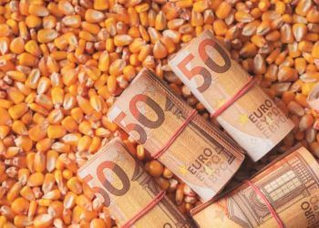 Taxa de inadimplência no campo sobe para 8,1% e mantém tendência de alta 6 Taxa de inadimplência no campo sobe para 8,1% e mantém tendência de alta