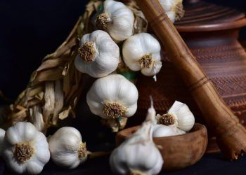 Zarc inclui cultivo de alho e amplia orientações de plantio no país 6 Zarc inclui cultivo de alho e amplia orientações de plantio no país