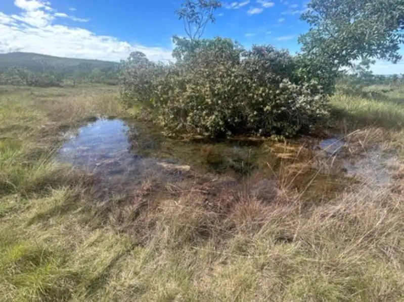 Áreas úmidas