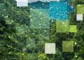 Brasil apresenta na COP30 plataforma que conecta inovação e sustentabilidade na bioeconomia 2 Brasil apresenta na COP30 plataforma que conecta inovação e sustentabilidade na bioeconomia
