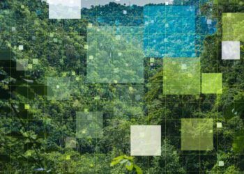 Brasil apresenta na COP30 plataforma que conecta inovação e sustentabilidade na bioeconomia