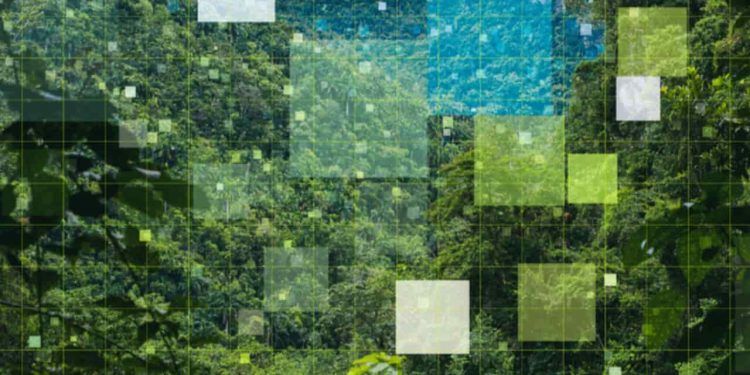 Brasil apresenta na COP30 plataforma que conecta inovação e sustentabilidade na bioeconomia