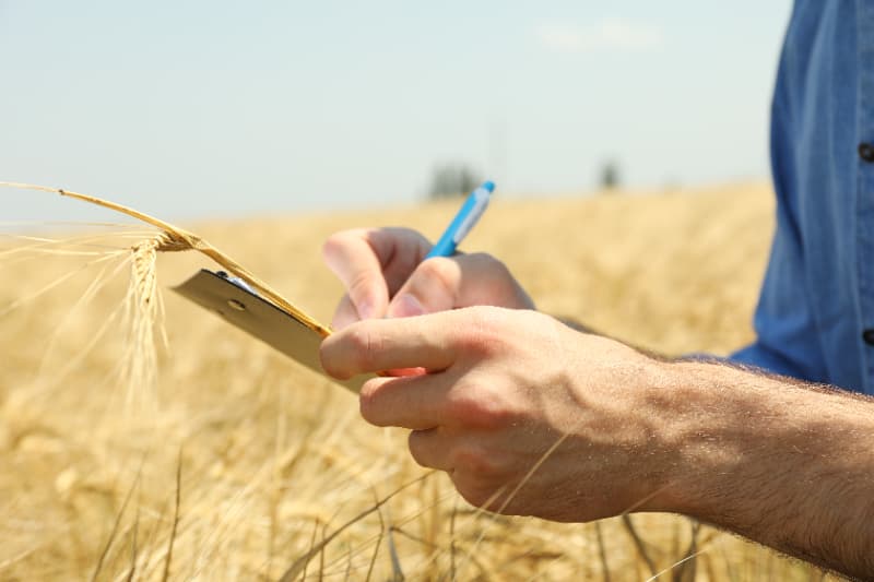 Calculadora da Reforma Tributária