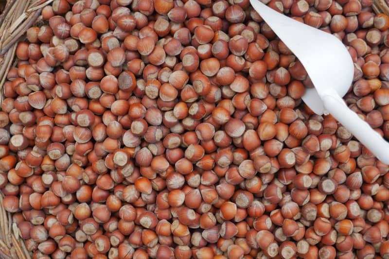 Exportação de sorgo