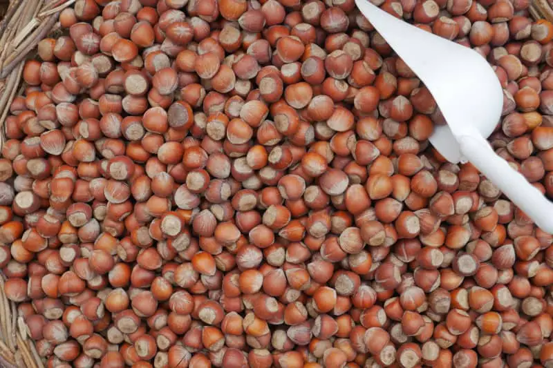 Exportação de sorgo