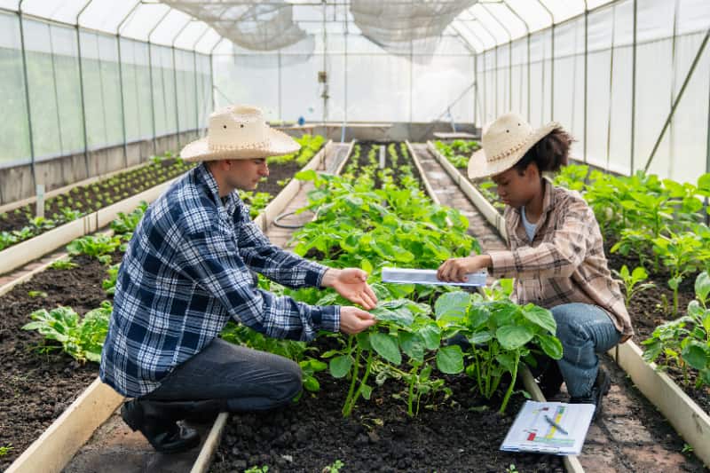 Nutrição de plantas